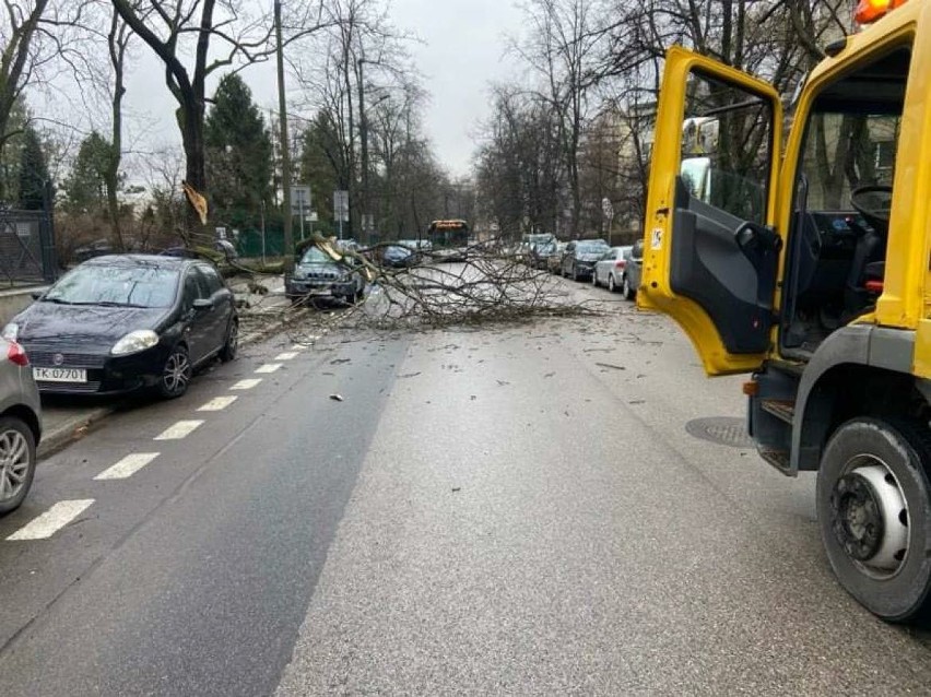 Kraków. Drzewo spadło na zaparkowane samochody, ul. Senatorska była zablokowana