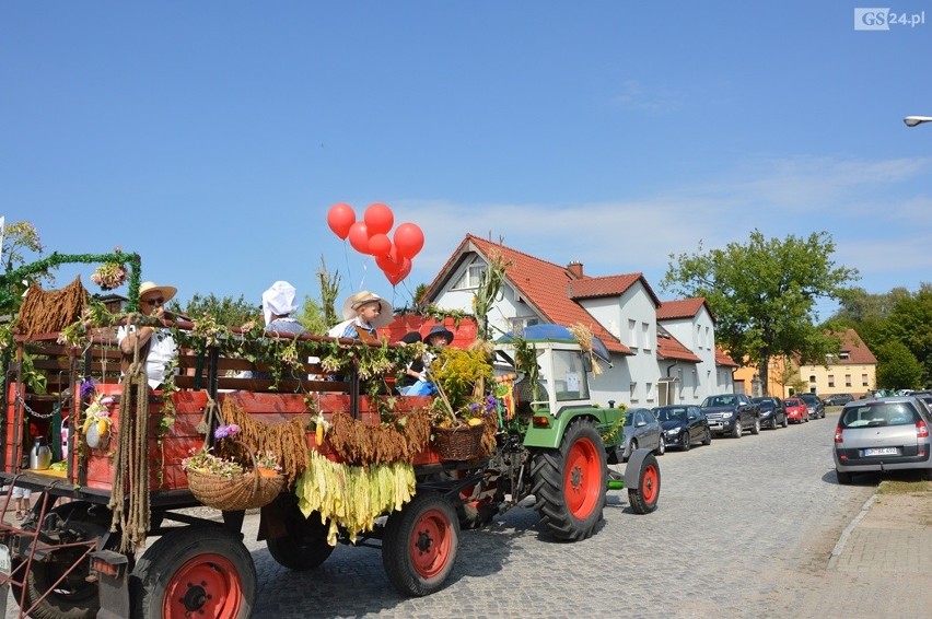 Wielkie świętowanie w przygraniczmym Vierraden! Rozpoczęły się zbiory tytoniu [ZDJĘCIA] 