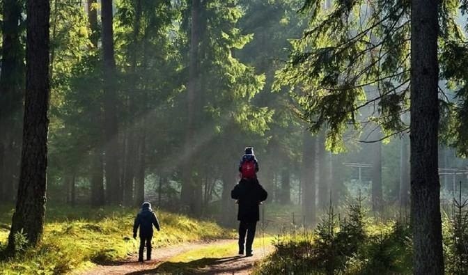 Otwierane są lasy i parki. Będziemy mogli w nich spacerować,...