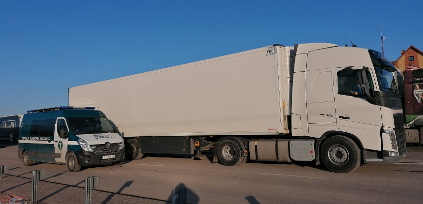 Inspekcja drogowa zatrzymała w okolicy Budziska cztery zagraniczne ciężarówki z powiększonym "bakiem" (zdjęcia)