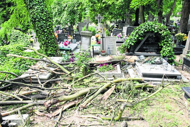 Na cmentarzu św. Jerzego można nadal odnaleźć mnóstwo porozrzucanych konarów i gałęzi