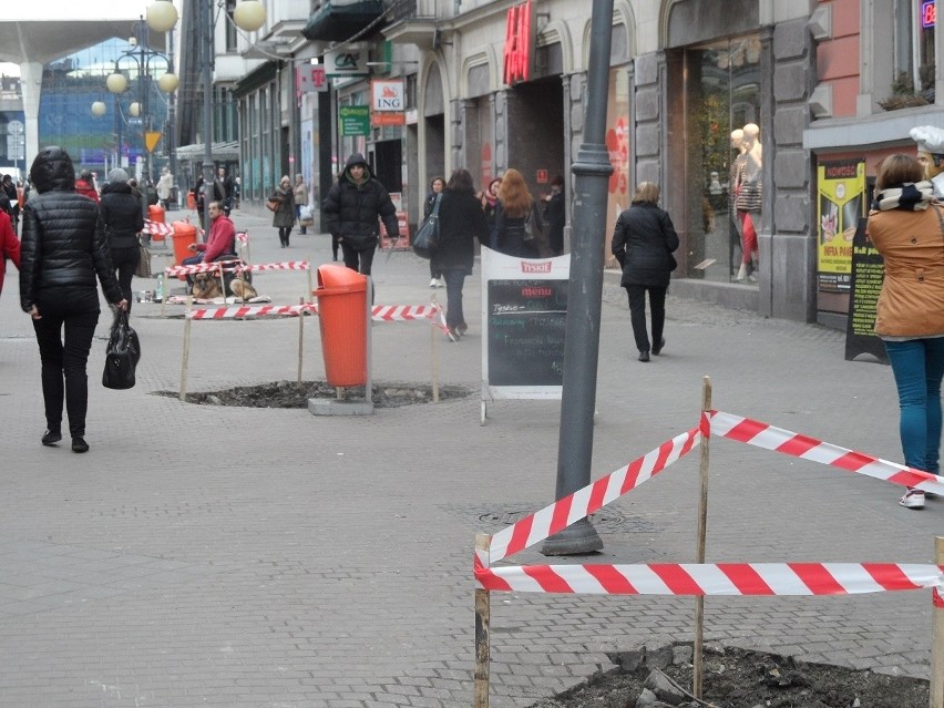 Usunięto drzewa z ulicy Stawowej w Katowicach