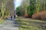 Katowice: będą rewitalizacje parków w Szopienicach, Bogucicach i Murckach ZDJĘCIA