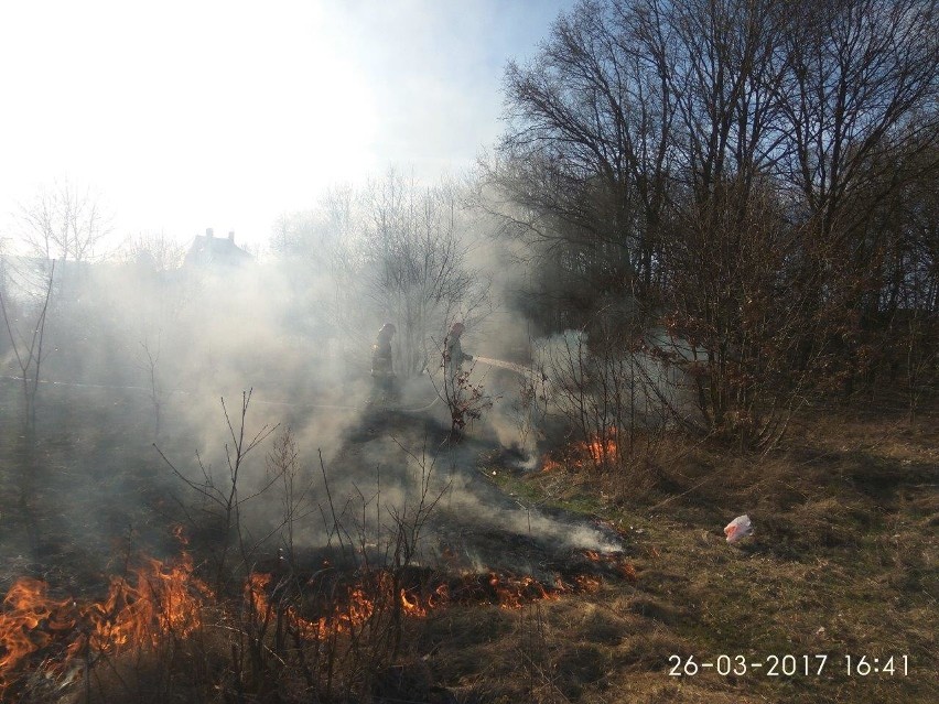 Od płonących traw często zajmują się ogrodowe altany