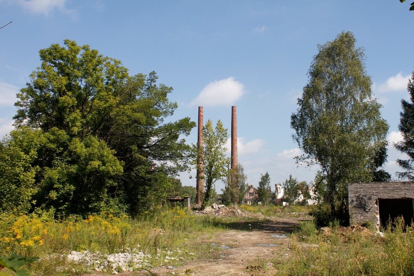 Siemianowice Śląskie: Charakterystyczne kominy huty Jedność wyburzone [ZDJĘCIA]