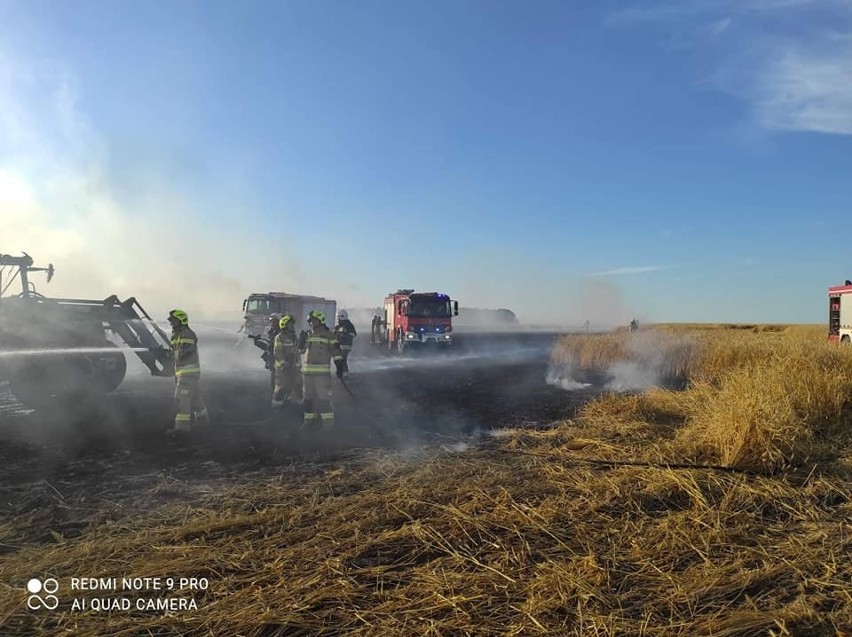 Ogromny pożar w Nowej Wsi Zbąskiej trawił blisko 60 hektarów...