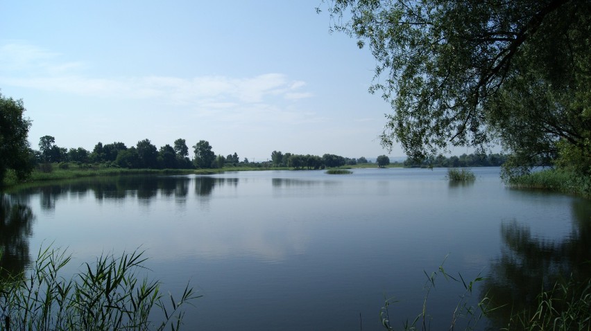 Dobrą opcją na grilla dla mieszkańców Nowej Huty jest...