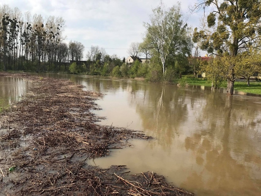 W Krapkowicach ogłoszono alarm powodziowy