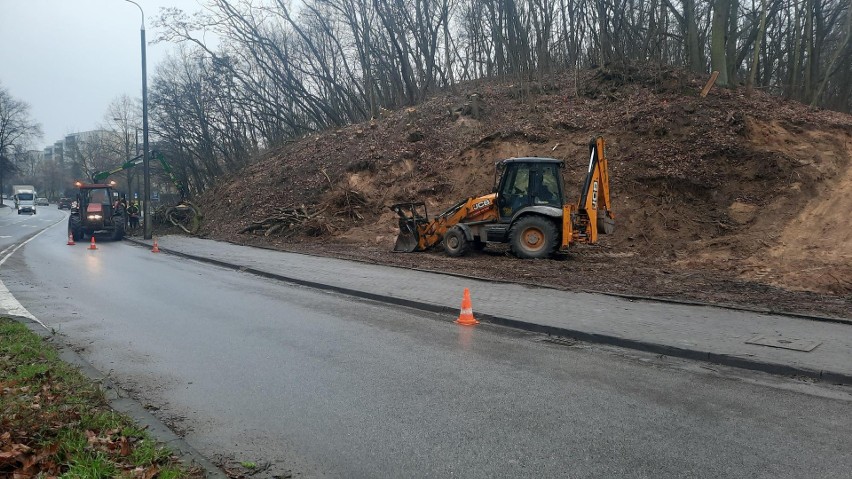 U zbiegu ulic Słowiańskiej i Fredry wycięto około 70 drzew.