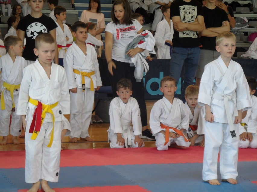 Bytom: Silesia Cup 2016 karate w Hali na Skarpie