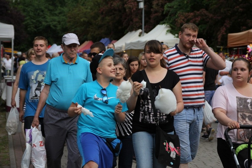 Drugi dzień Dni Dąbrowy Górniczej w Parku Hallera