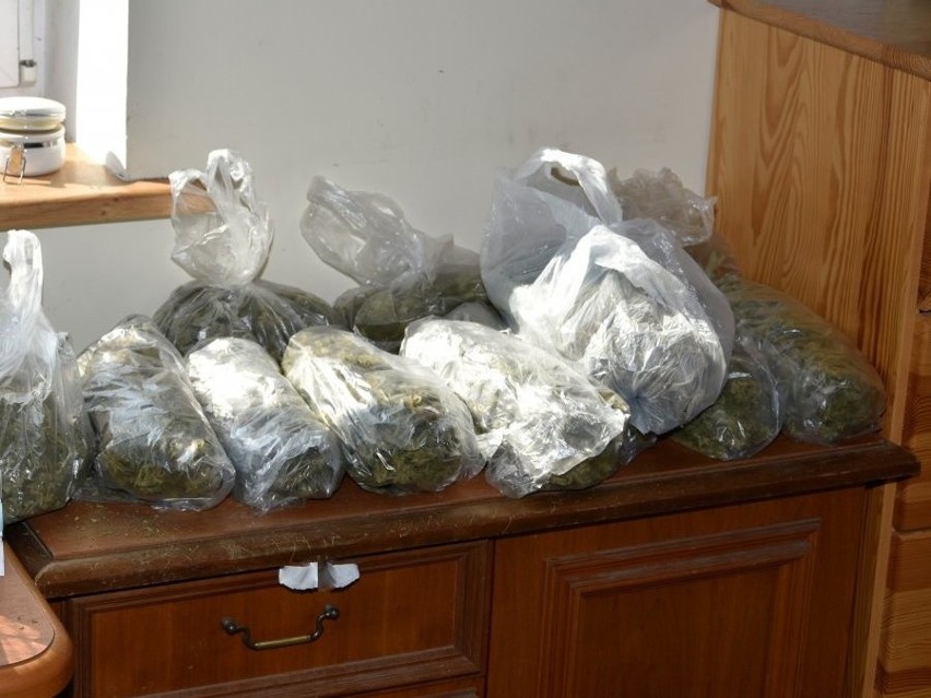 W mieszkaniu mężczyzny policjanci zabezpieczyli 17 krzewów...