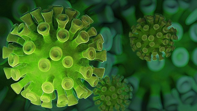 Naukowcy badają powstanie pandemii Covid-19