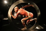 Body Worlds Katowice: Ostatni weekend wystawy ludzkich ciał w Supersamie