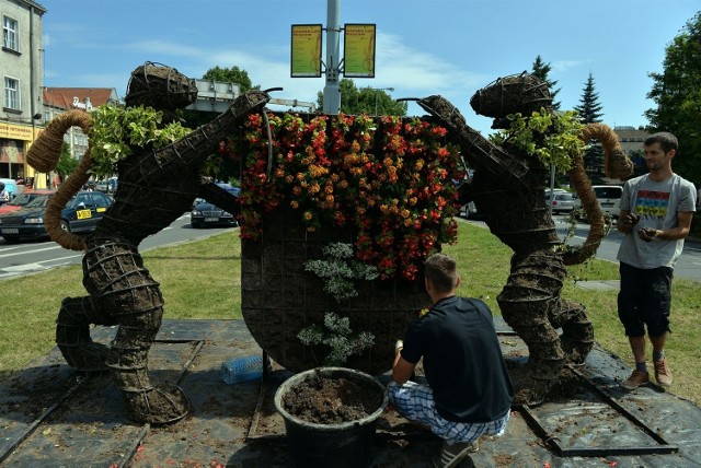 Tak wyglądało w zeszłym roku układanie kwiatów w herbie Gdańska