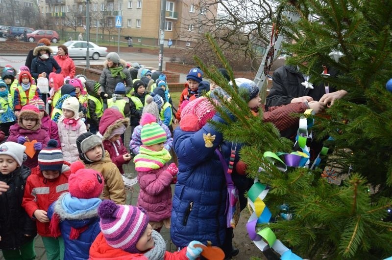 Wyszkowskie przedszkolaki ubrały miejską choinkę (zdjęcia)