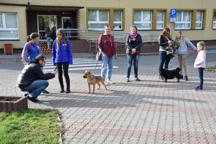 Dzień Kundelka w Golubiu-Dobrzyniu