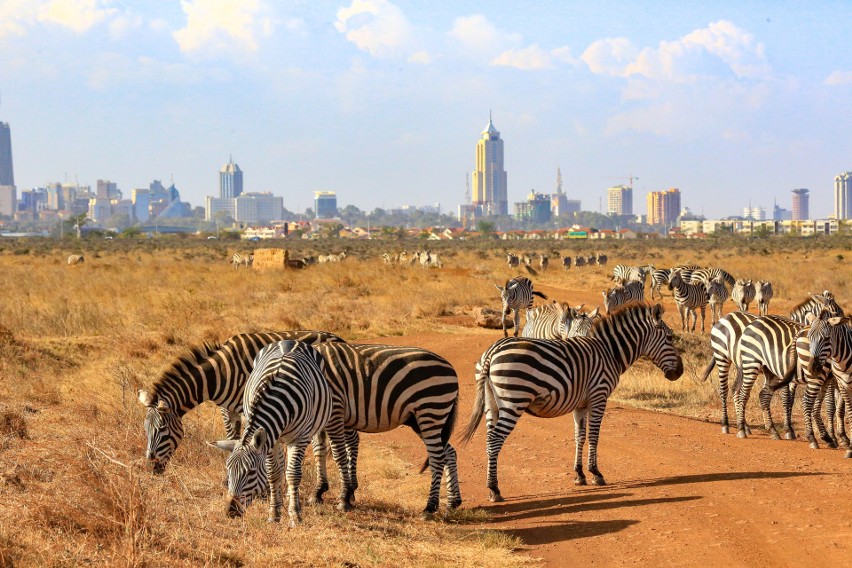 Nairobi (na zdjęciu) – stolica Kenii w styczniu zachęca do...