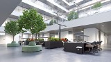 Zielone biura – czym charakteryzują się certyfikowane powierzchnie biurowe?