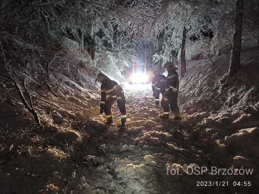 Po ataku zimy w regionie nie ma prądu, setki wyjazdów podkarpackich strażaków [ZDJĘCIA]