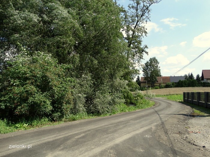 Zielonki. Remonty na ośmiu odcinkach dróg. Gmina wyda prawie milion