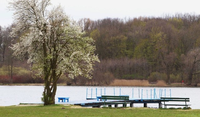 Zagospodarowanie Rusałki to jeden z celów nowej koalicji rad osiedli