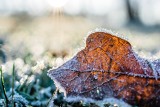 Nadchodzi załamanie pogody! W tygodniu 22-28 listopada powieje arktycznym chłodem, możliwe przymrozki. Sprawdź prognozę pogody