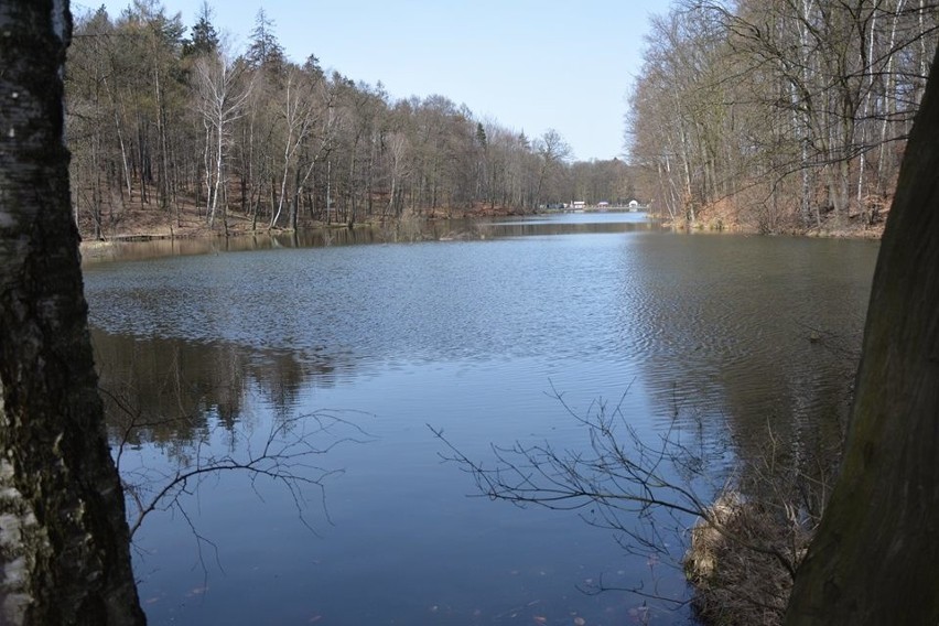 139 osób pobiegło wokół Balatonu