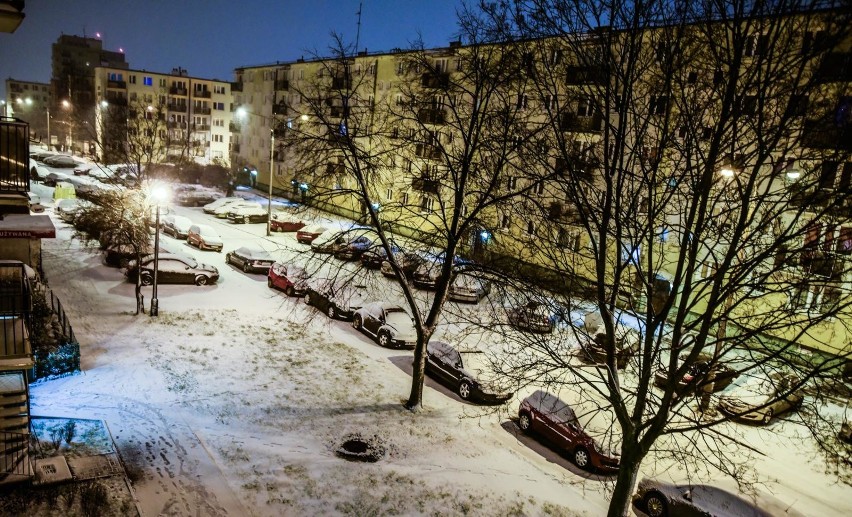 Najpopularniejsze prognozy amerykańskie wieszczą, że będzie...