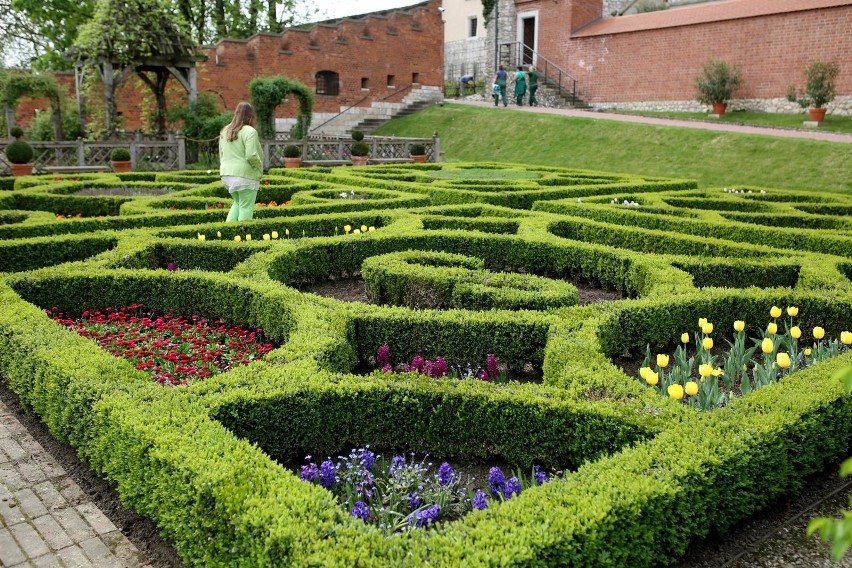 Wawelskie ogrody otwarte dla zwiedzających od 1 maja