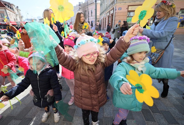 Wiosna nie zapomniała o Lublinie! Tradycyjnie 21 marca, który tym razem wypadł w czwartek dzieci powitały ją przed lubelskim ratuszem.