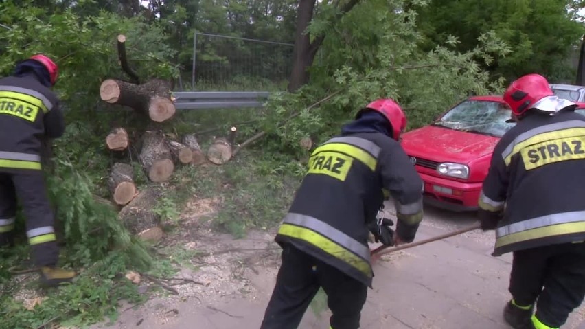 Drzewo zwaliło się na zaparkowane auta przy Tuwima i Wydawniczej [FILM, zdjęcia]