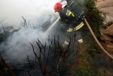 Poznań: Spłonął barak za dworcem autobusowym na Śródce