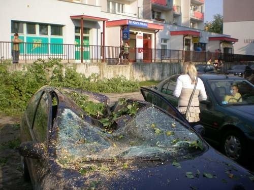 Powalone drzewa zniszczyły samochody w Gryfinie.