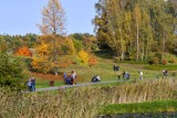 Instytut Meteorologii i Gospodarki Wodnej. Prognoza pogody na wtorek. Zapowiada się pogodny i słoneczny dzień 