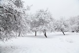 POGODA na święta Bożego Narodzenia 2019. Czy na święta będzie śnieg? 28.12.