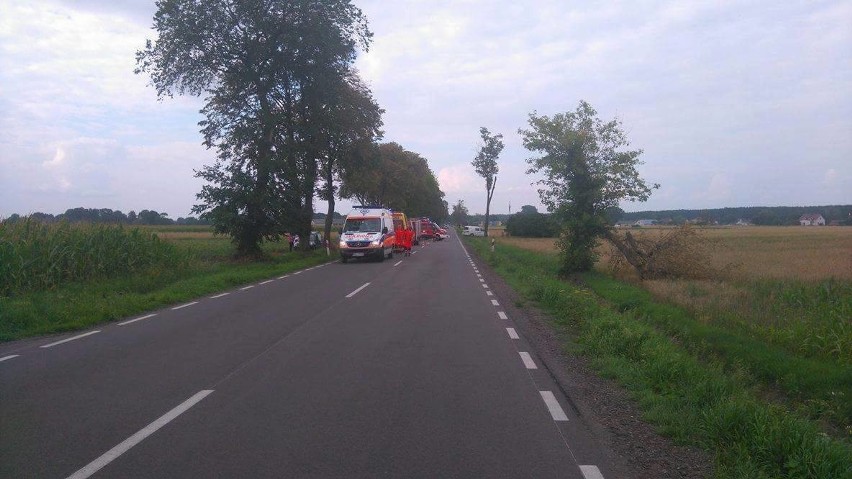 Wypadek na DK 65. Kia w rowie (zdjęcia)