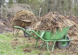 Rodzaje i formy nawozów do roślin