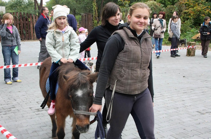 Grudziądz: Światowy Dzień Ochrony Zwierząt