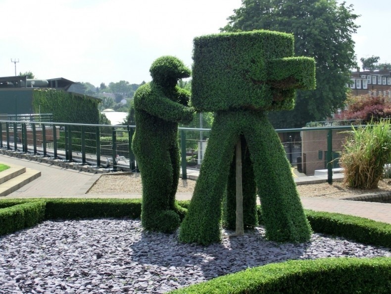 Topiary: formowane krzewy w ogrodzie. Jak to się robi