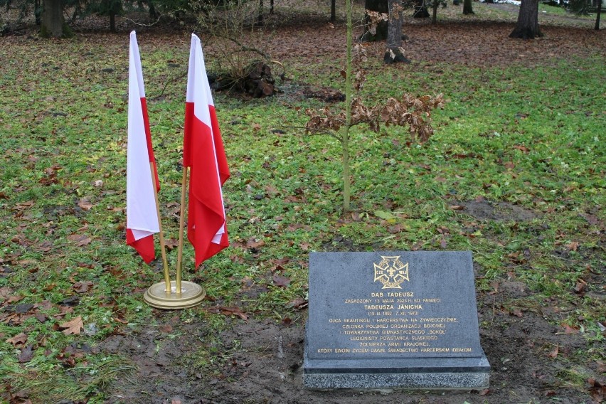 W Parku Habsburgów w Żywcu umieszczono tablicę poświęconą ppor. Jaenichowi, weteranowi walk o Polskę. Stanęła przed upamiętniającym go dębem