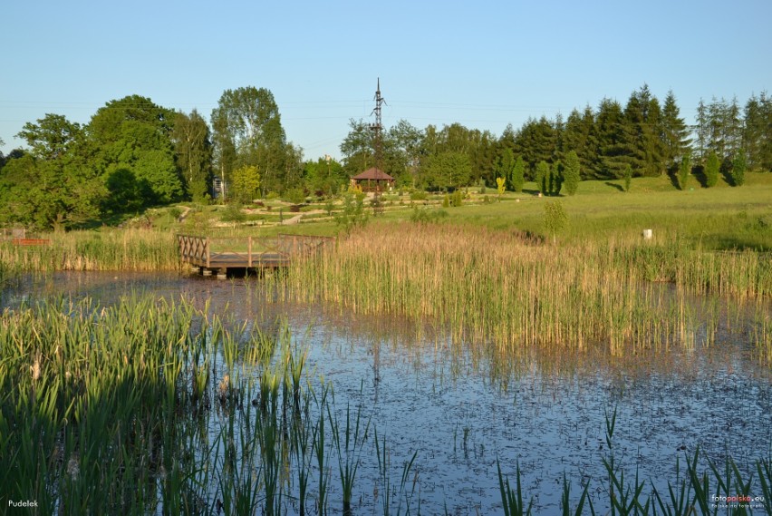 Śląski Ogród Botaniczny w Mikołowie. Obecnie zajmuje on...