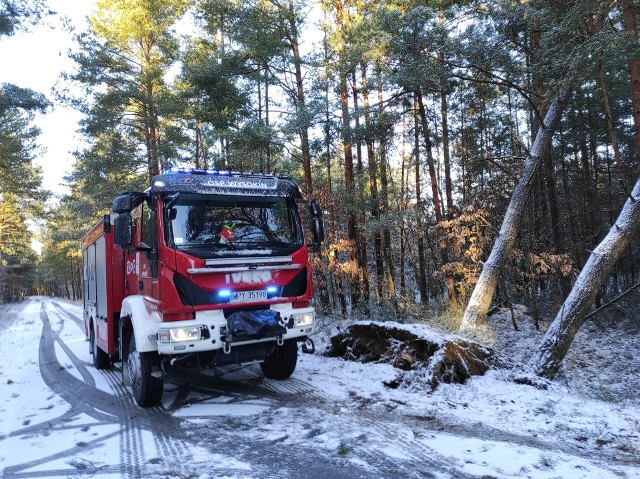 Strażacy między innymi z OSP w Wysokinie, usuwali powalone drzewa przy drogach w lasach na terenie gminy Odrzywół.