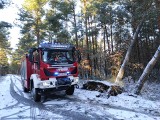 Powiat przysuski: Wyrwane drzewa po śnieżnej nawałnicy. Trwa usuwanie skutków burzy