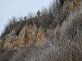 Góra Zamkowa w Dobrzyniu nad Wisłą - tak wygląda. To tajemnicze miejsce z niezwykłą historią