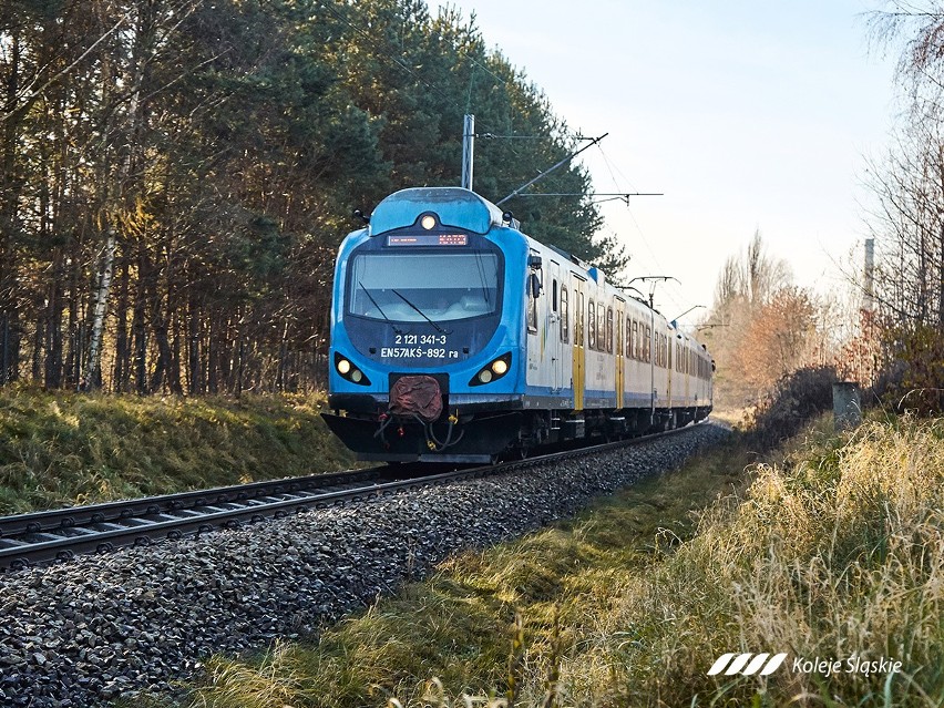 GZM sfinansuje prawie 100 połączeń kolejowych