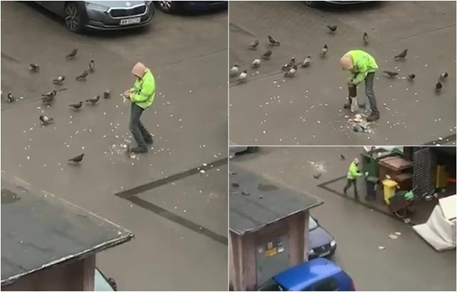 Na nagraniu widać, jak mężczyzna rozglądając się nerwowo, rozrywa worek z pieczywem i rozsypuje okruchy, prawdopodobnie próbując w ten sposób dokarmić gołębie. Niestety, przy okazji także szczury, mimo trwającej we Wrocławiu obowiązkowej deratyzacji.