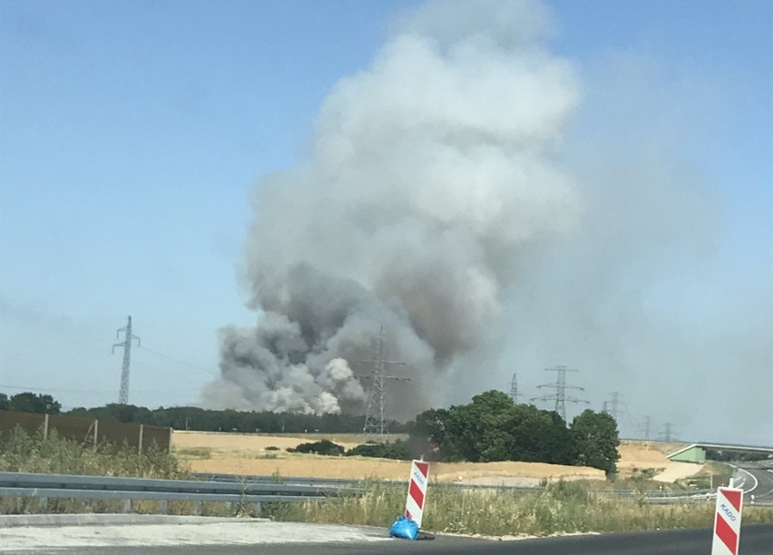 Mieszkańcy gminy Dopiewo alarmują o pożarze, który wybuchł w...