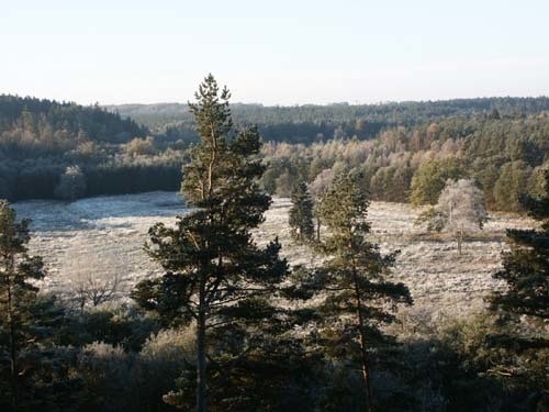 Krajobraz parku "Dolina Słupi".