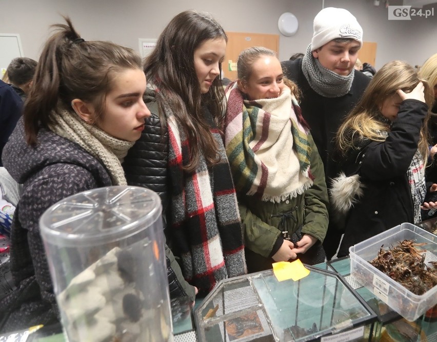 Noc Biologów w Szczecinie. Można zobaczyć pajęczaki, węże i owady [WIDEO]